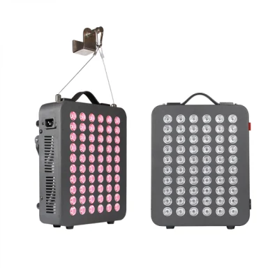 Rlttime prix d'usine en gros Mini PRO Portable 300W usage domestique PDT Facial Photon LED rouge thérapie par la lumière Machine panneau de dispositif